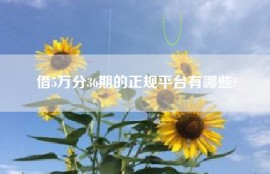 借5万分36期的正规平台有哪些?