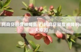 网商贷额度被降低了?网商贷额度被降的6大原因
