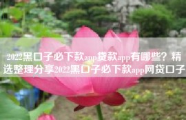 2022黑口子必下款app贷款app有哪些？精选整理分享2022黑口子必下款app网贷口子