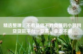精选整理，不看征信不看负债的小额网贷贷款平台一览表，拿走不谢