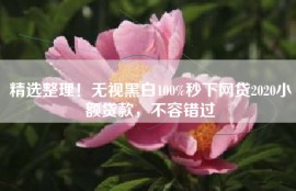 精选整理！无视黑白100%秒下网贷2020小额贷款，不容错过