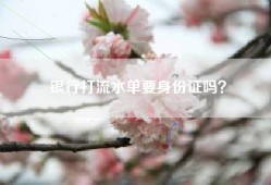 银行打流水单要身份证吗？