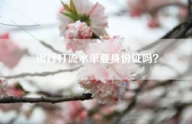 银行打流水单要身份证吗？