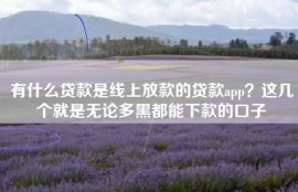 有什么贷款是线上放款的贷款app？这几个就是无论多黑都能下款的口子