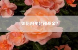 如何购买封闭基金？