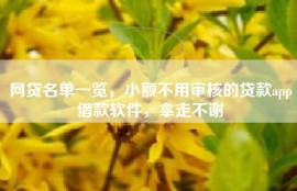 网贷名单一览，小额不用审核的贷款app借款软件，拿走不谢