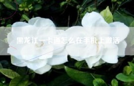 黑龙江一卡通怎么在手机上激活
