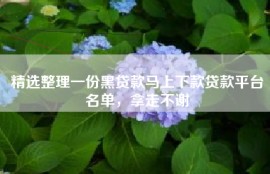 精选整理一份黑贷款马上下款贷款平台名单，拿走不谢