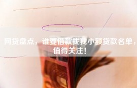 网贷盘点，谁要借款找我小额贷款名单，值得关注！