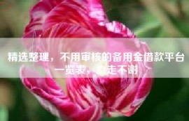 精选整理，不用审核的备用金借款平台一览表，拿走不谢