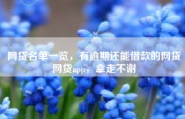 网贷名单一览，有逾期还能借款的网贷网贷app，拿走不谢