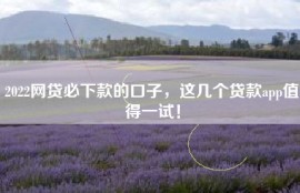 2022网贷必下款的口子，这几个贷款app值得一试！