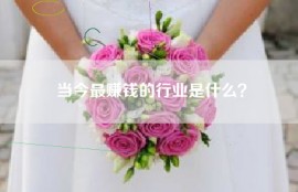 当今最赚钱的行业是什么？