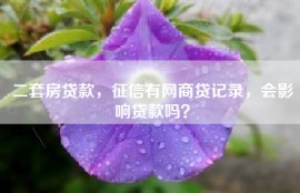 二套房贷款，征信有网商贷记录，会影响贷款吗？