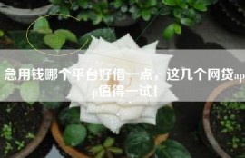 急用钱哪个平台好借一点，这几个网贷app值得一试！