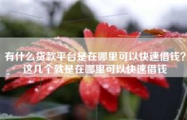 有什么贷款平台是在哪里可以快速借钱？这几个就是在哪里可以快速借钱