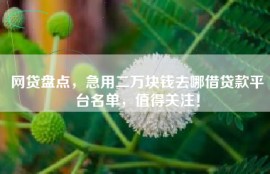 网贷盘点，急用二万块钱去哪借贷款平台名单，值得关注！