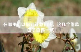 在哪里可以借到钱急用钱，这几个借款口子值得一试！