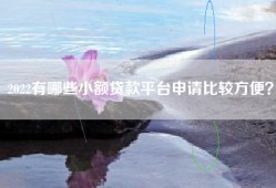 2022有哪些小额贷款平台申请比较方便？
