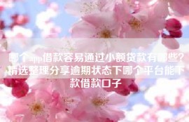 哪个app借款容易通过小额贷款有哪些？精选整理分享逾期状态下哪个平台能下款借款口子