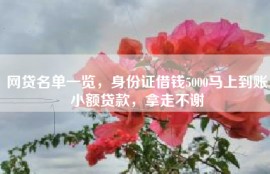 网贷名单一览，身份证借钱5000马上到账小额贷款，拿走不谢