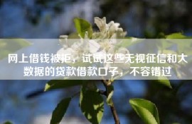 网上借钱被拒，试试这些无视征信和大数据的贷款借款口子，不容错过