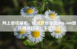 网上借钱被拒，试试这些微信1000-5000借钱网贷口子，不容错过