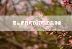 哪些银行可以打印征信报告