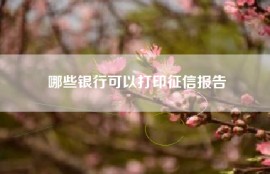 哪些银行可以打印征信报告