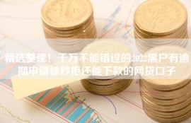 精选整理！千万不能错过的2022黑户有逾期申请被秒拒还能下款的网贷口子