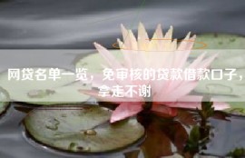网贷名单一览，免审核的贷款借款口子，拿走不谢