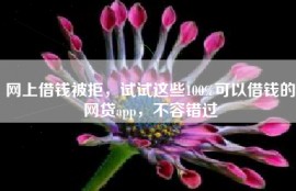 网上借钱被拒，试试这些100%可以借钱的网贷app，不容错过