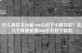 什么借款平台是5000元必下小额贷款？这几个就是能借5000左右好下款的