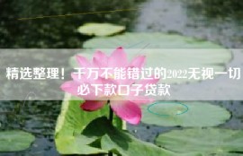 精选整理！千万不能错过的2022无视一切必下款口子贷款