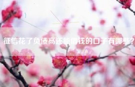 征信花了负债高还能借钱的口子有哪些？