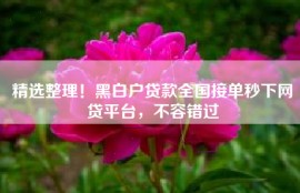 精选整理！黑白户贷款全国接单秒下网贷平台，不容错过