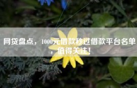 网贷盘点，1000元借款秒过借款平台名单，值得关注！