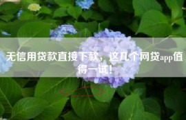 无信用贷款直接下款，这几个网贷app值得一试！
