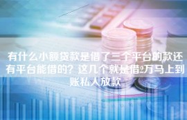 有什么小额贷款是借了三个平台的款还有平台能借的？这几个就是借2万马上到账私人放款