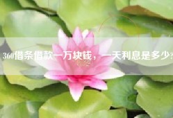 360借条借款一万块钱，一天利息是多少?