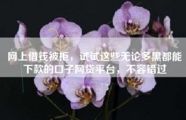网上借钱被拒，试试这些无论多黑都能下款的口子网贷平台，不容错过