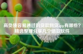 高负债容易通过的贷款网贷app有哪些？精选整理分享几个借款软件