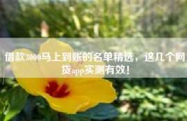 借款3000马上到账的名单精选，这几个网贷app实测有效！