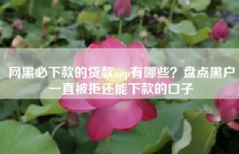 网黑必下款的贷款app有哪些？盘点黑户一直被拒还能下款的口子