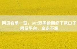 网贷名单一览，2022双黑逾期必下款口子网贷平台，拿走不谢