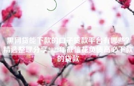 黑网贷能下款的口子贷款平台有哪些？精选整理分享2022年征信花负债高必下款的贷款