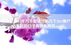 精选整理！千万不能错过的几个2022黑户必下款的口子有哪些网贷app