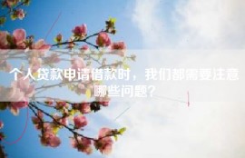 个人贷款申请借款时，我们都需要注意哪些问题？