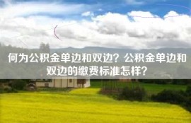 何为公积金单边和双边？公积金单边和双边的缴费标准怎样？