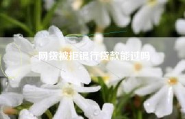 网贷被拒银行贷款能过吗